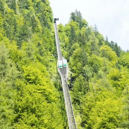 View House Ferienhaus *