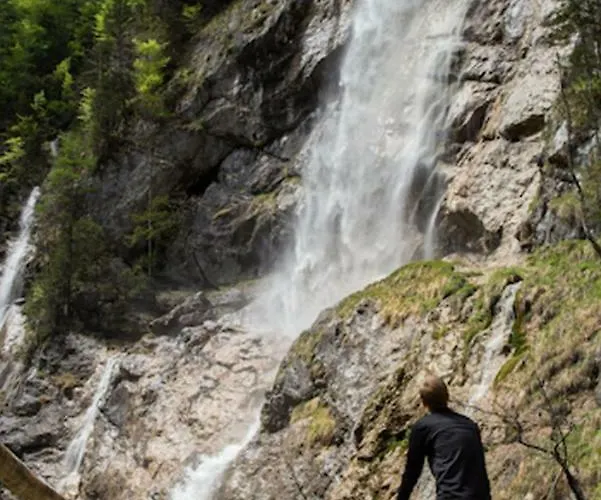 View House 度假居 哈尔施塔特